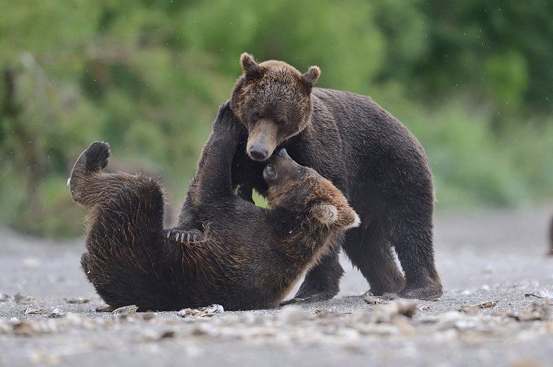 Детские игры фото превью