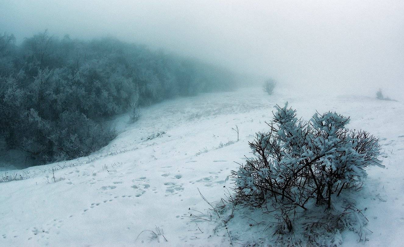 , Игорь Мелекесцев