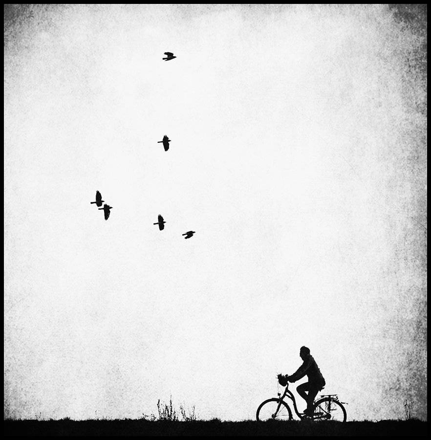 , Krzysztof Trojanowski