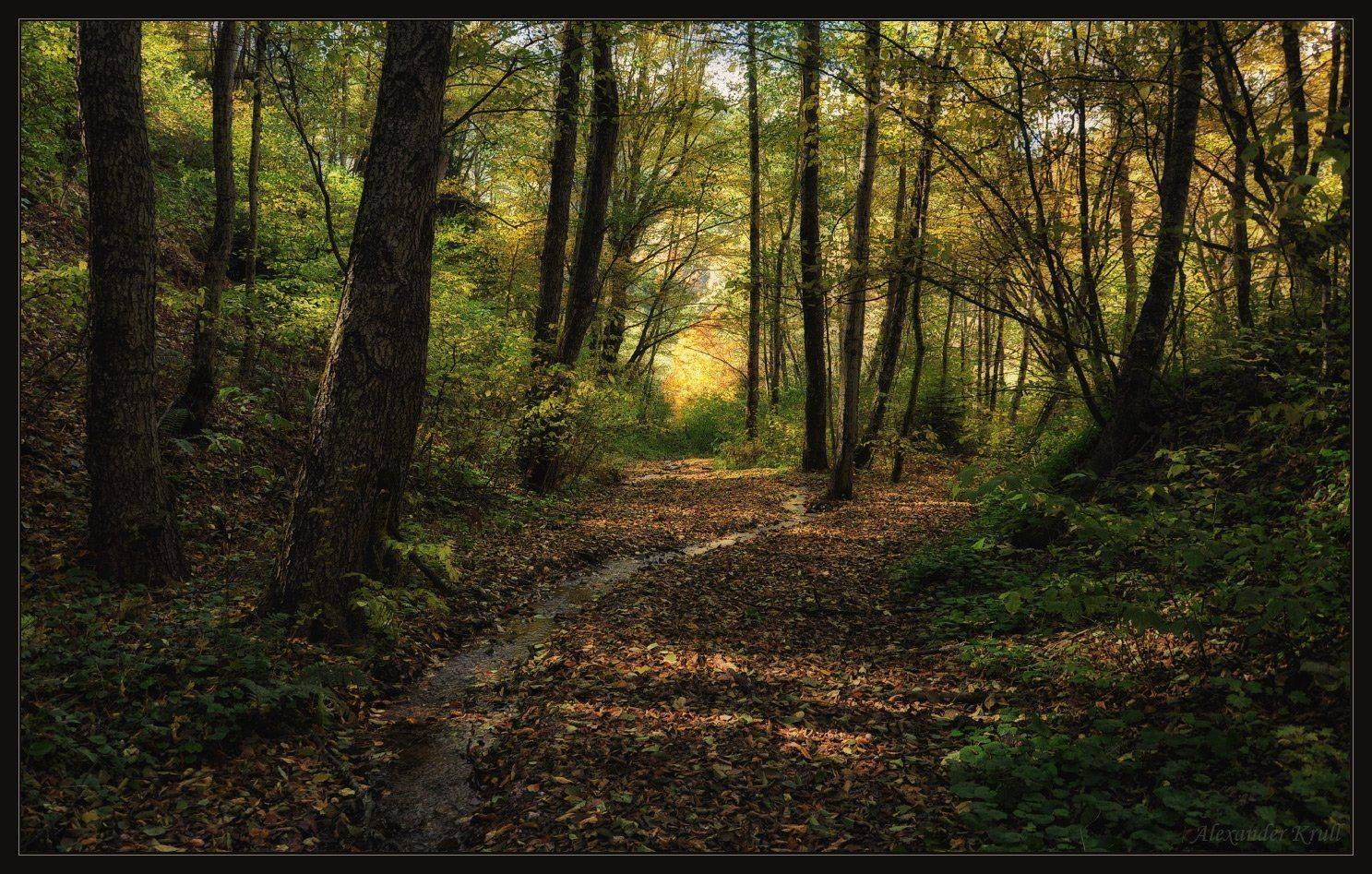кавказ, кчр, лес, осень, родник, Александр Круль