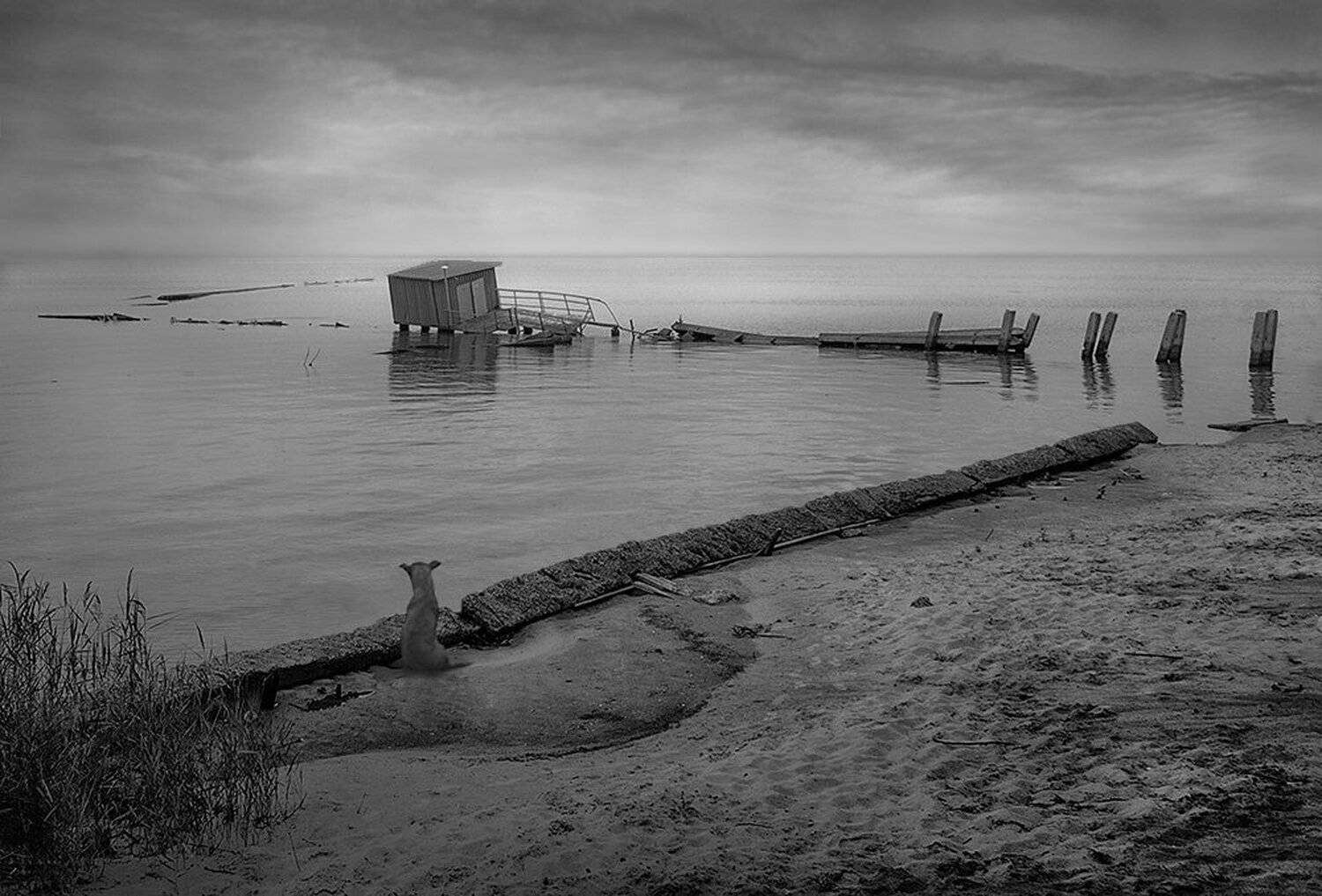 , Сергей Хромов