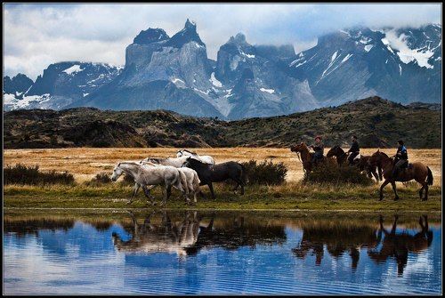 Патагония.  Чили.  Гаучо.