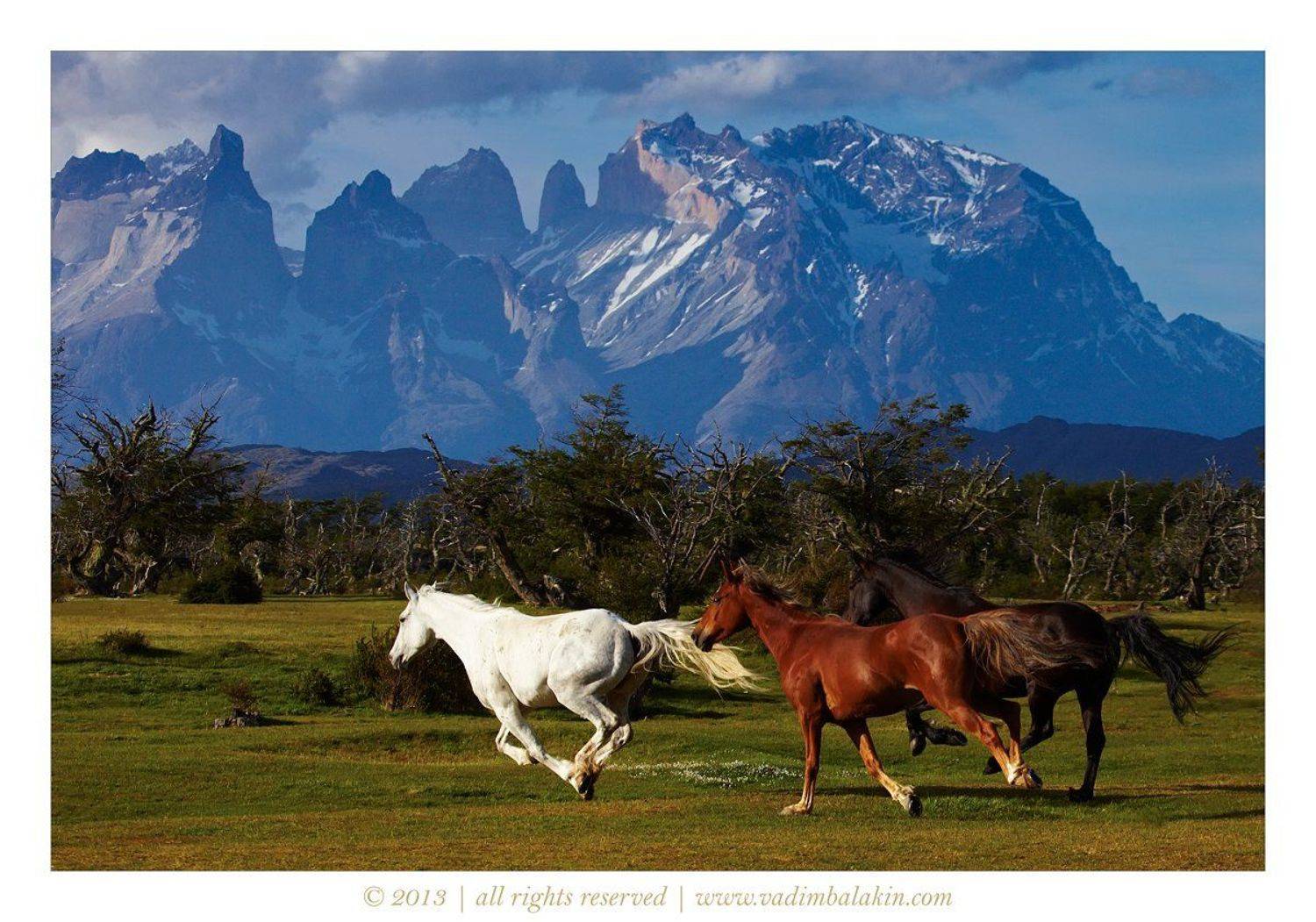 Патагония, Торрес дель Пайне, Чили, Вадим Балакин