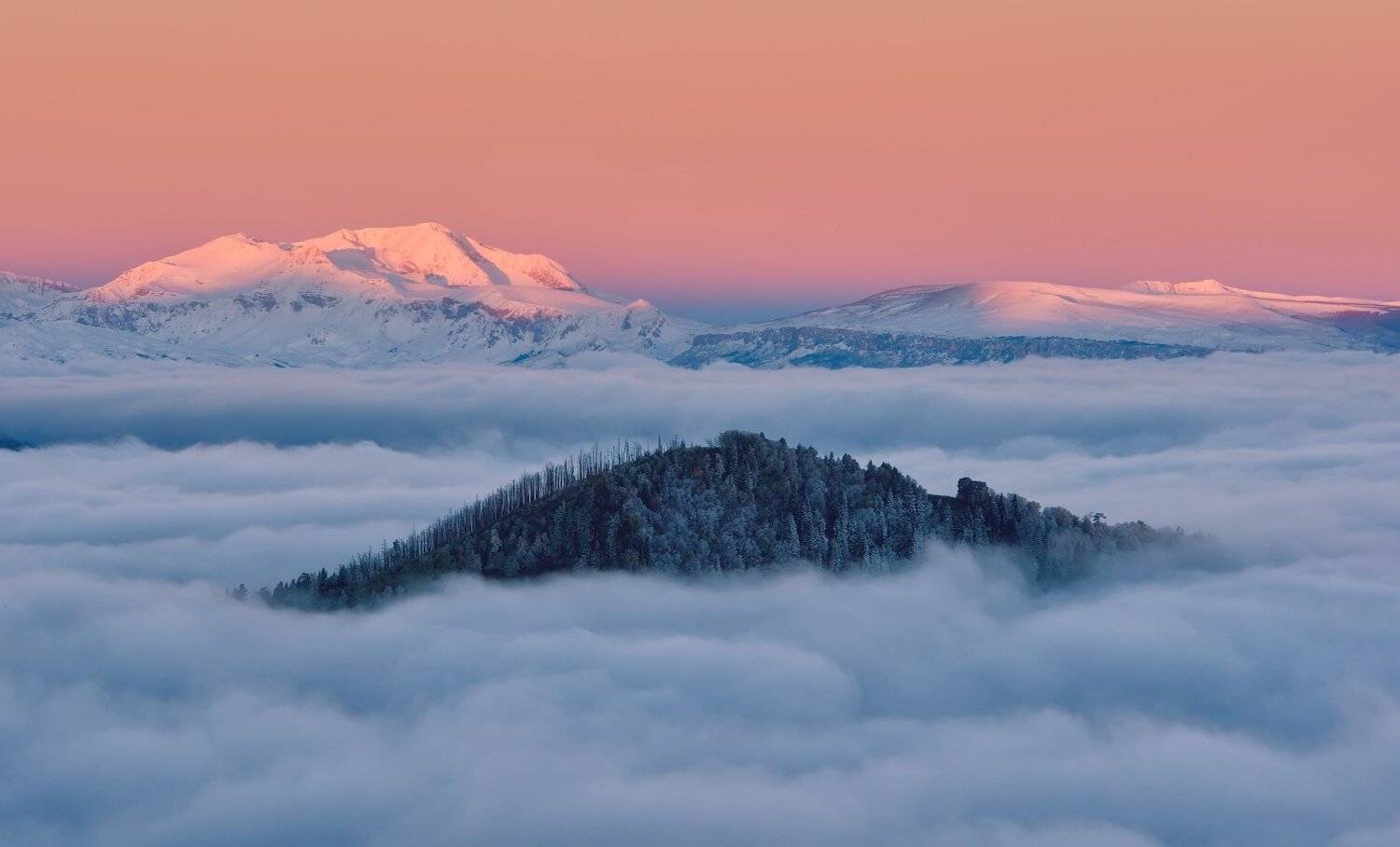, Максим Евдокимов