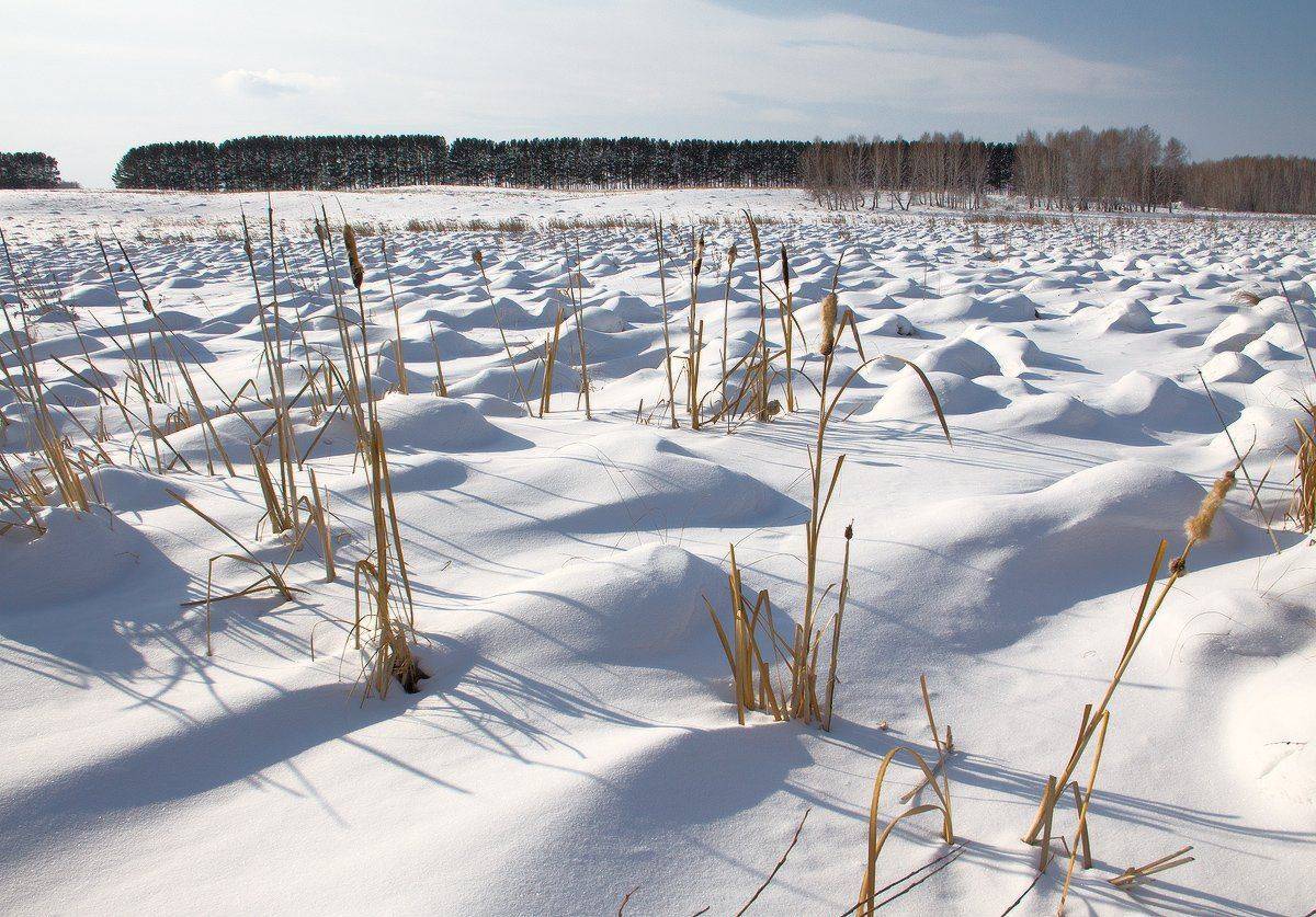 , Николай Морский