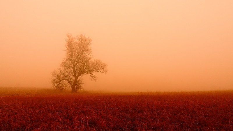 Красный рассвет... фото превью