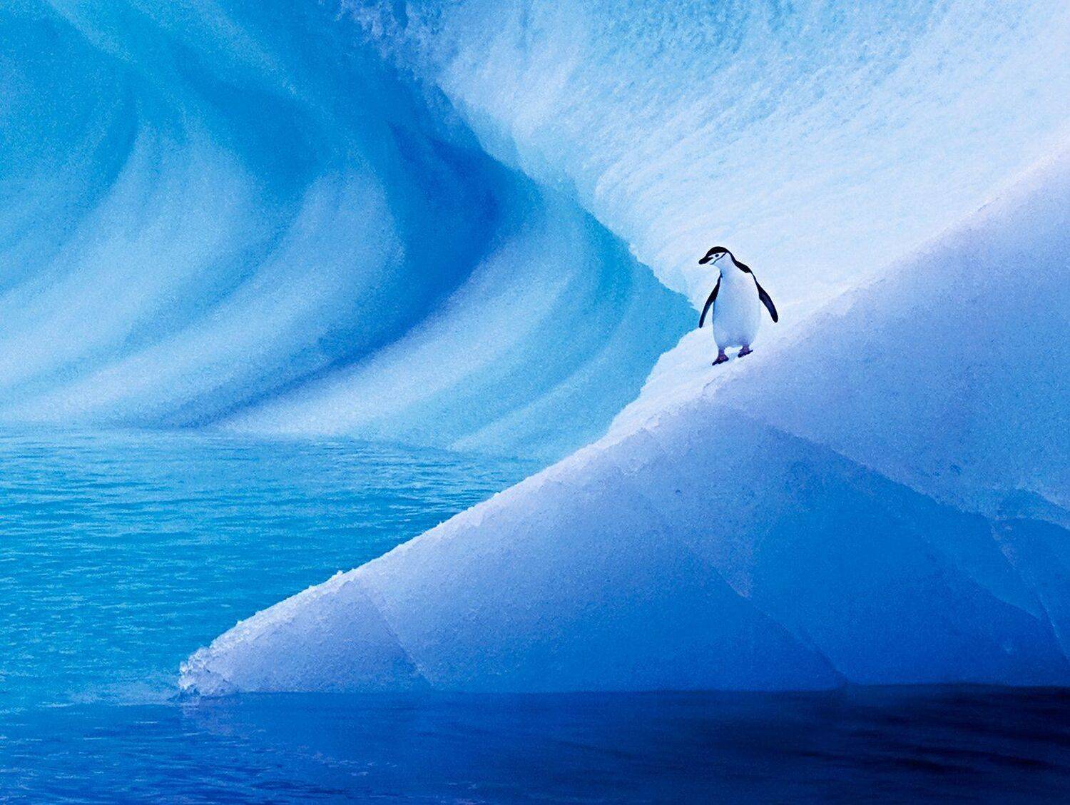 , Алексей Сулоев