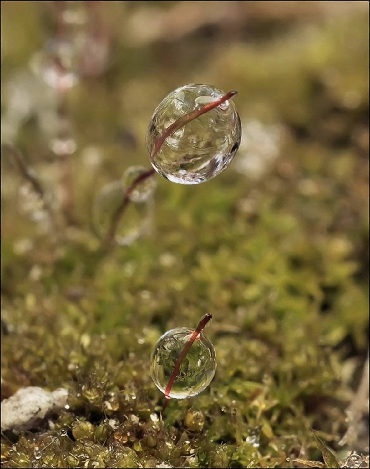 , Андрей Осокин