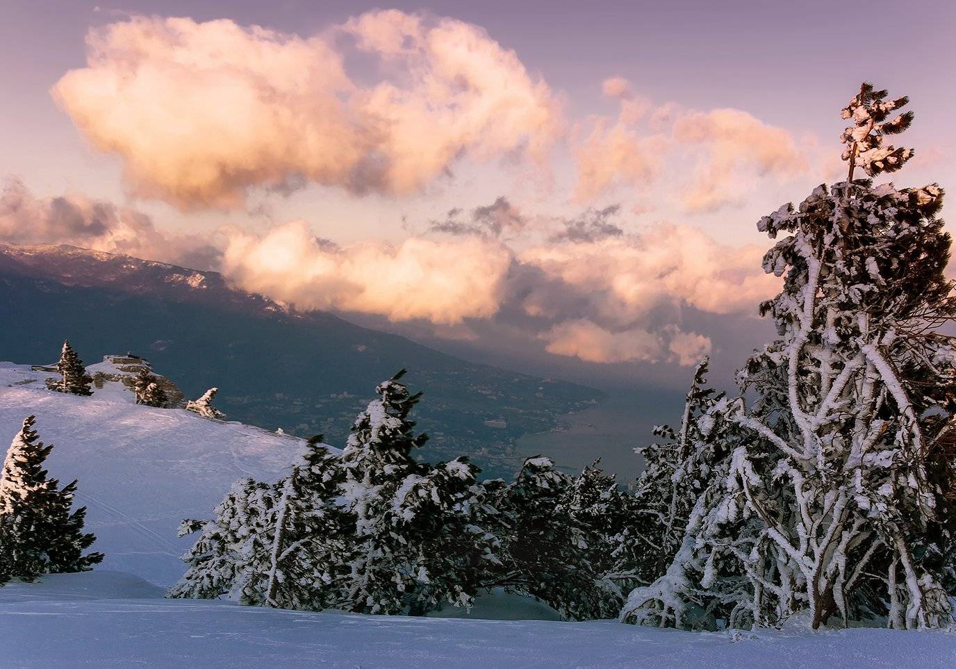 , Игорь Мелекесцев