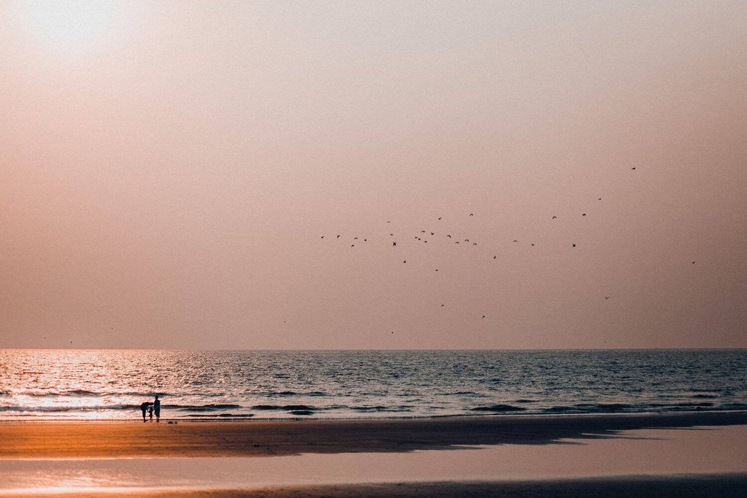 Индийский океан, Семья, Ёж Мария