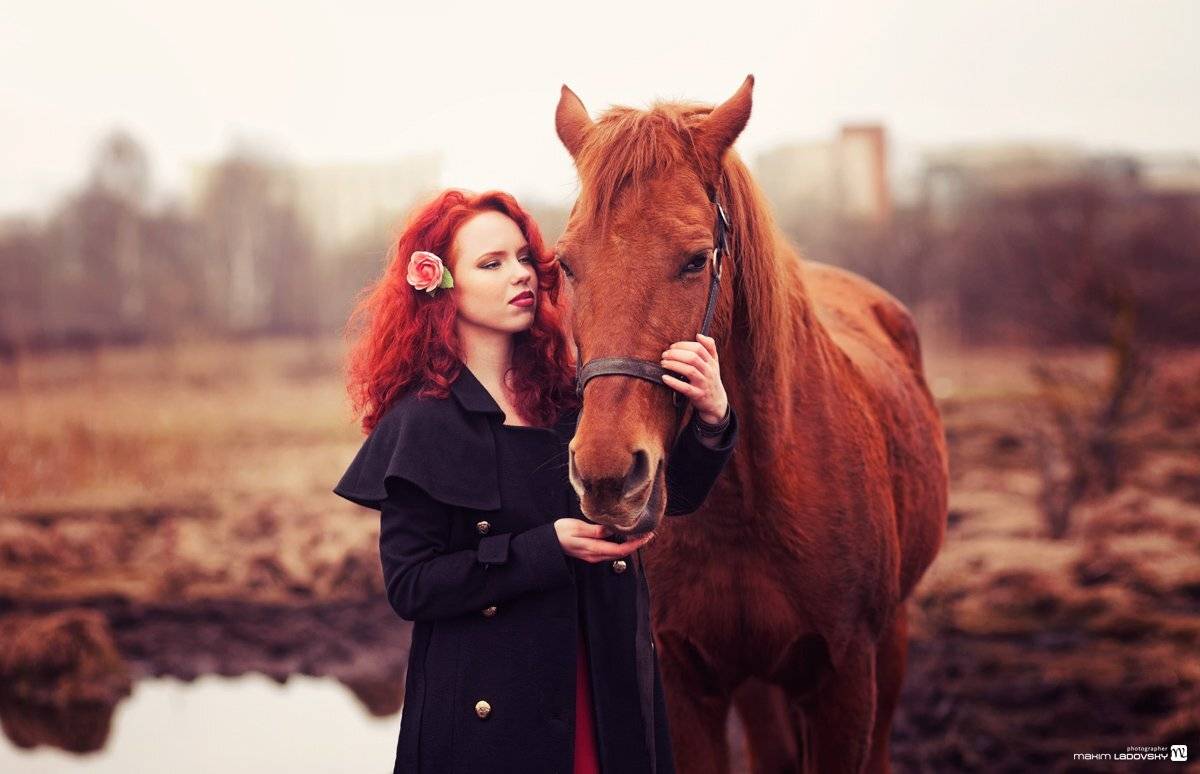 , Ладовский Максим