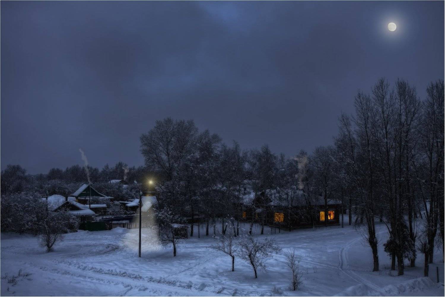 , Владимир Веснин