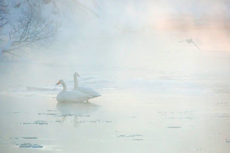 Холодным утром фото превью