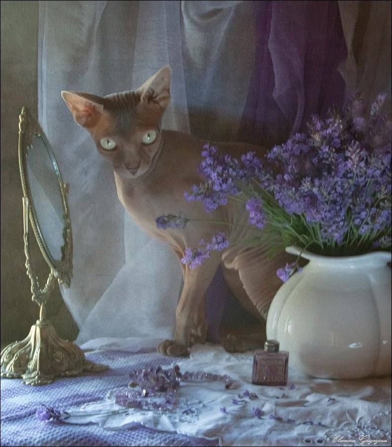 , Eleonora Grigorjeva