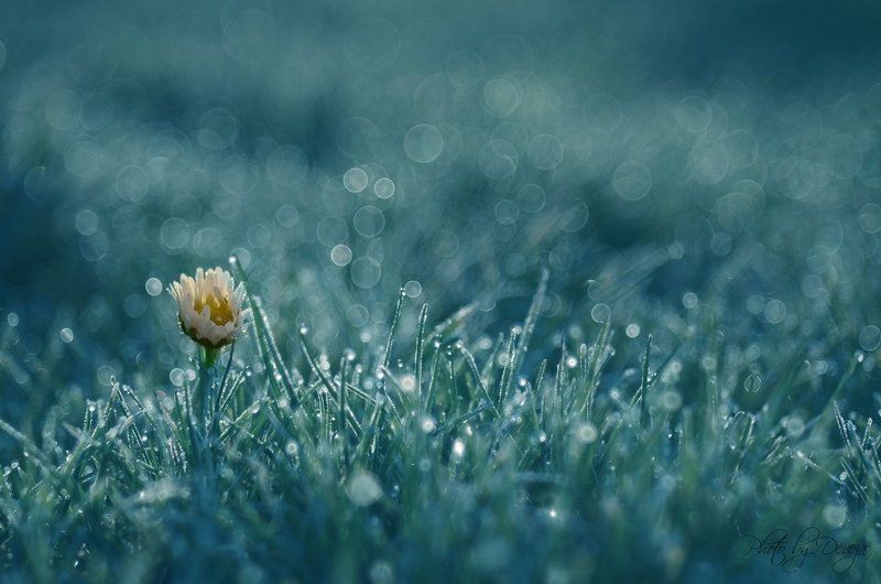 Когда утром, что должно быть. фото превью