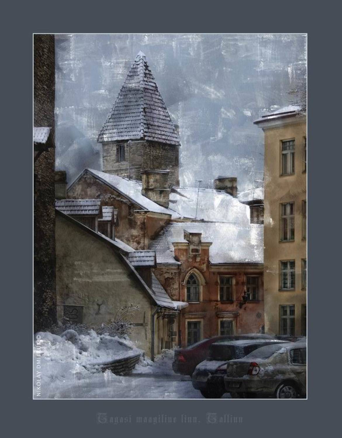 , николай дмитрук