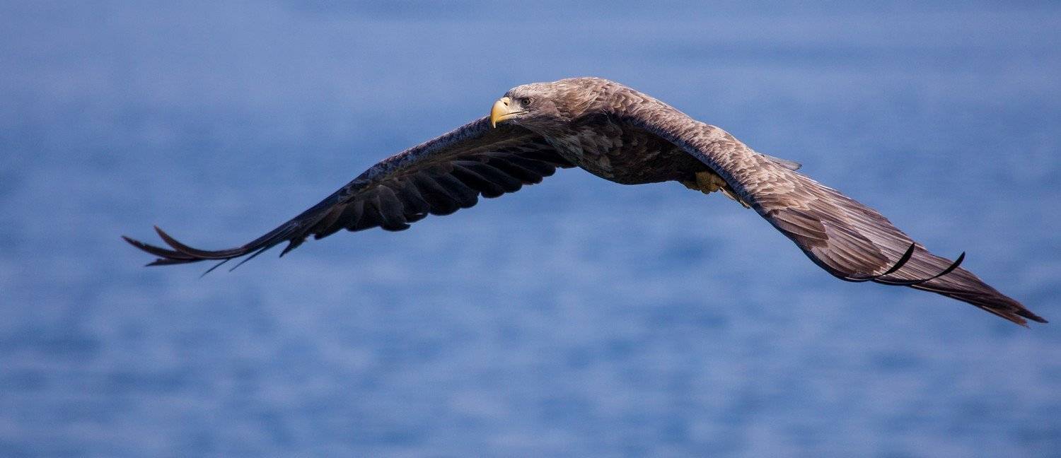 , Евгений Слободской