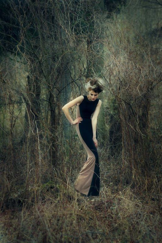 W фото превью