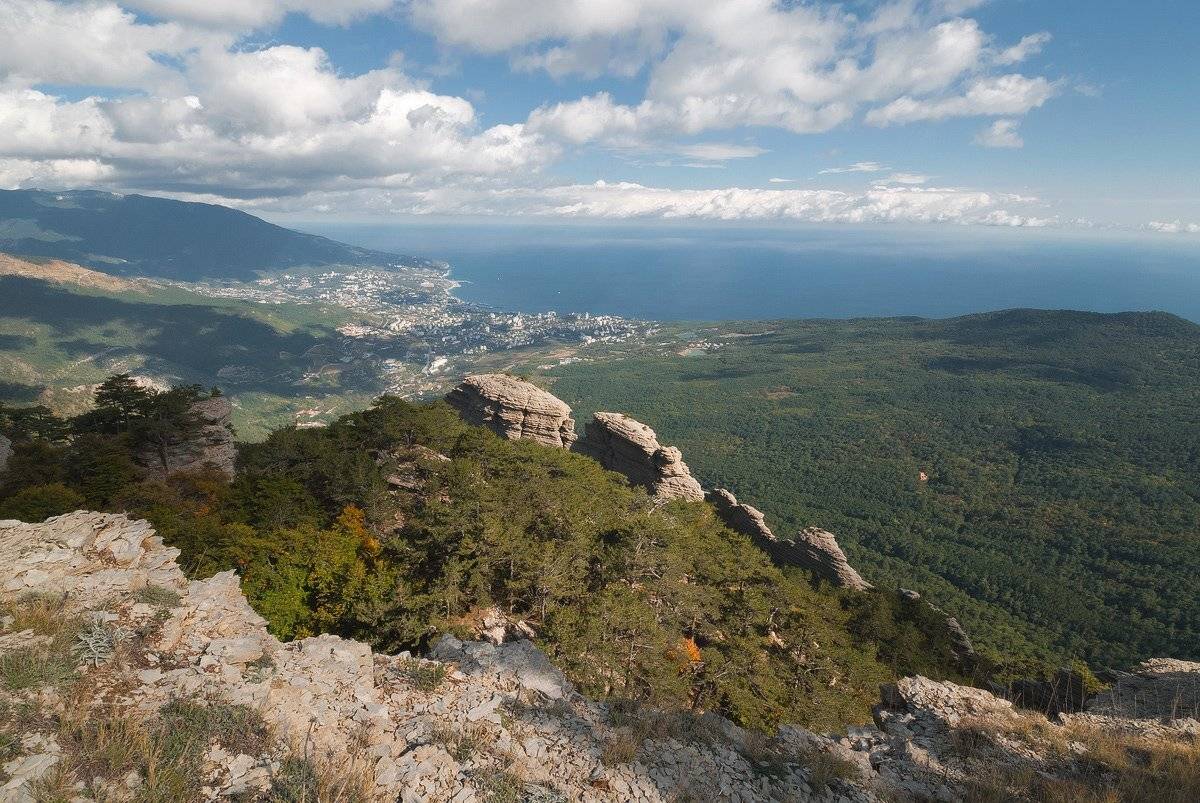 , Саша  Вайсберг / Waldschnepfe /