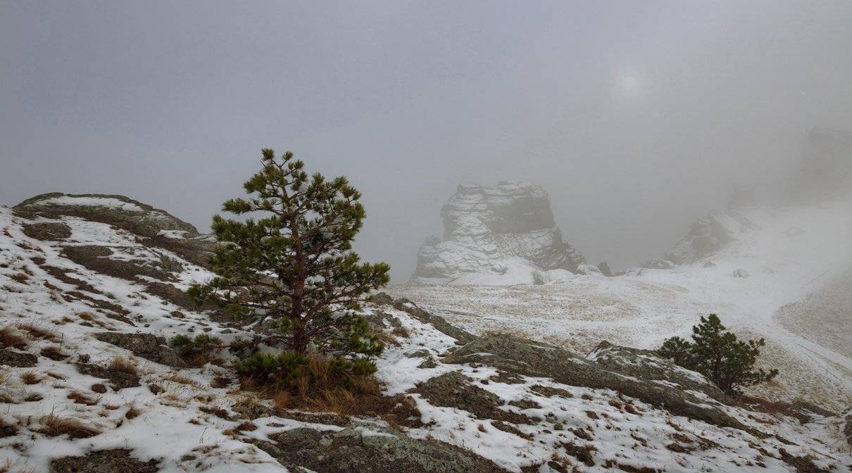 , Денис Сорокин