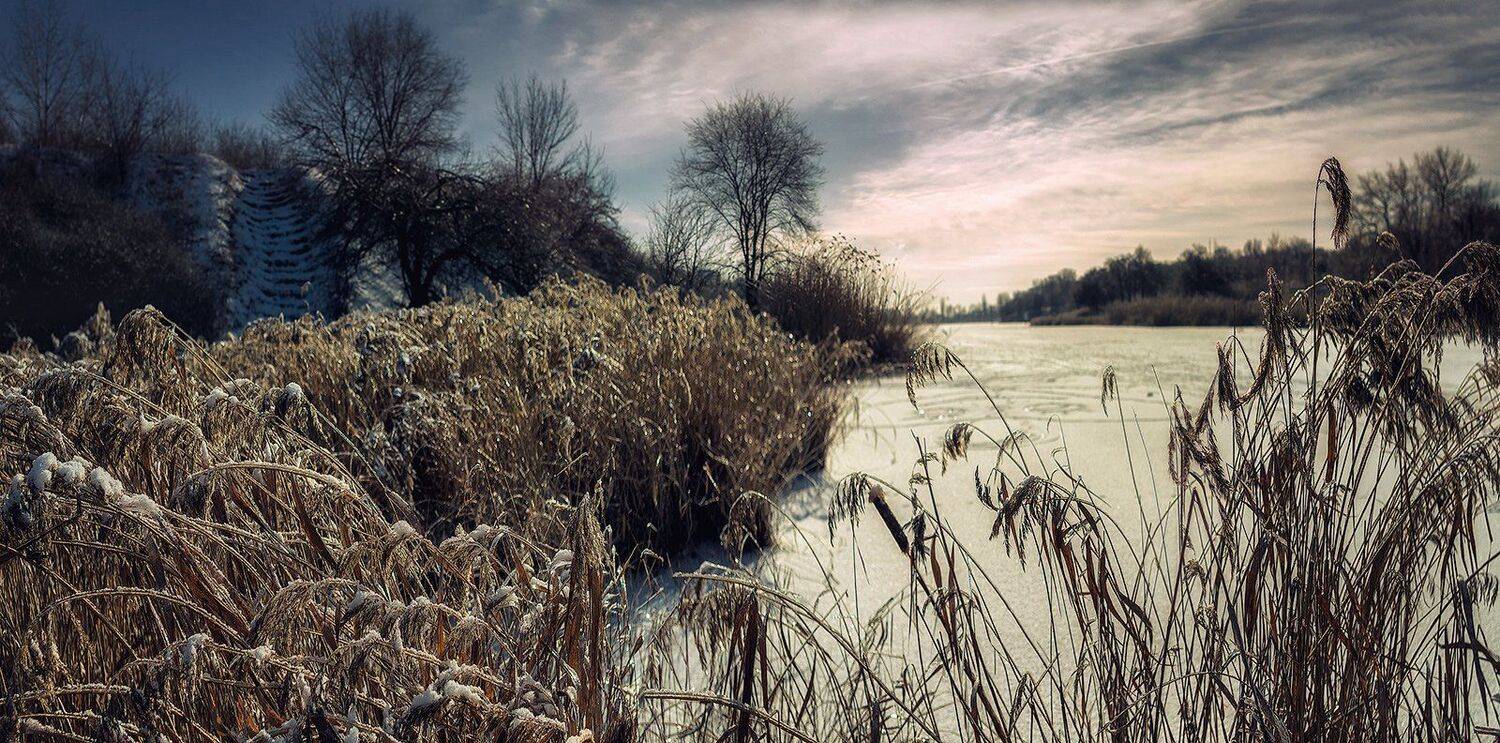 , Игорь Мелекесцев