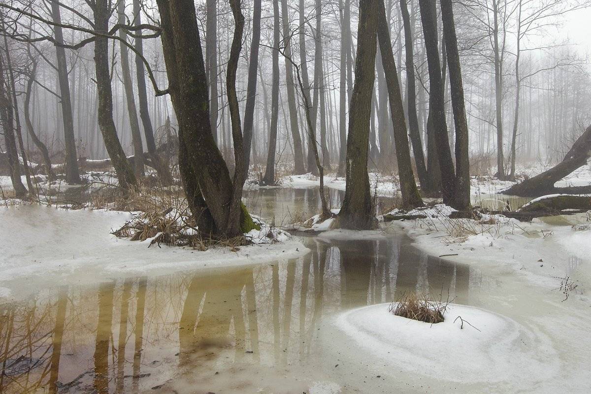 , Валерий Кондратов