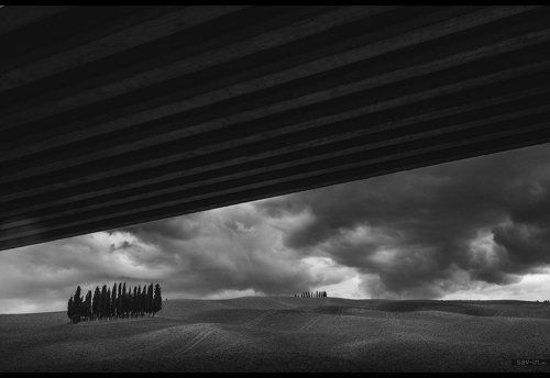 Тоскана. Чёрно-белая серия