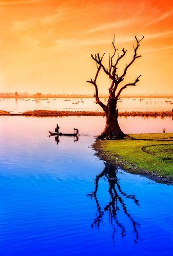 Дерево на озере Таунгтхаман