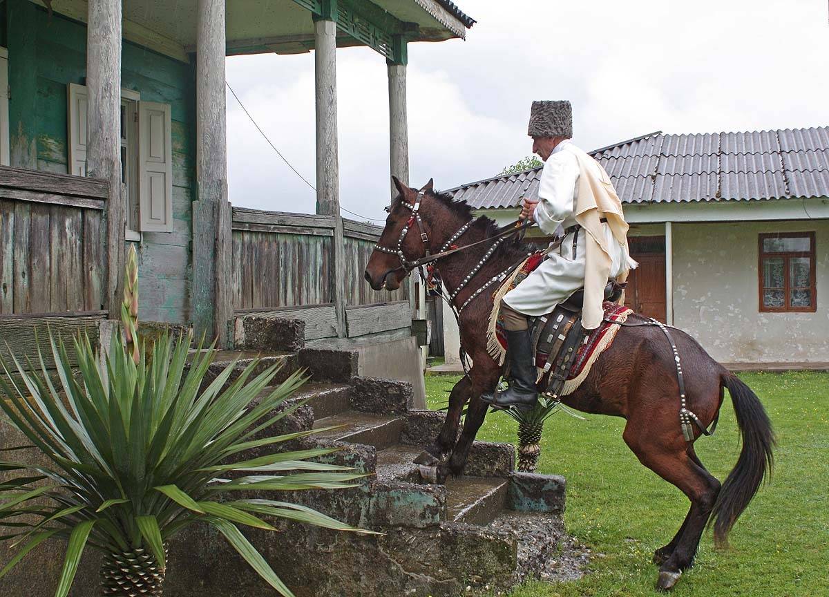 Кавказ Абхазия, Сандро из Чегема, Фазиль Искандер, Юбилей, Борис Резванцев