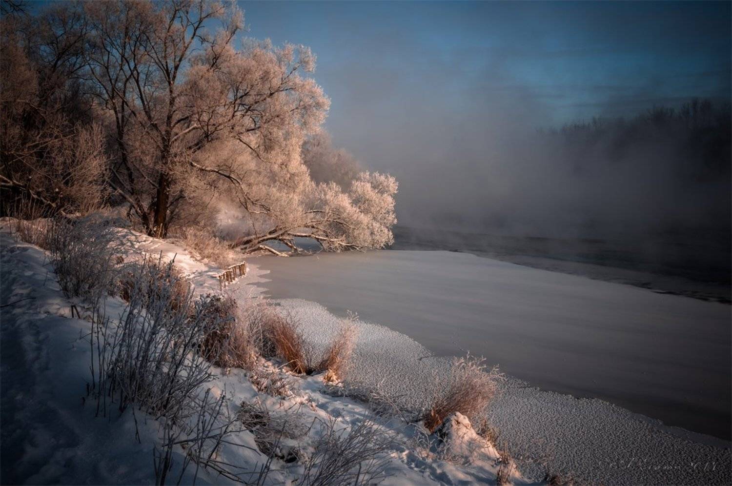 , Анатолий Зверев