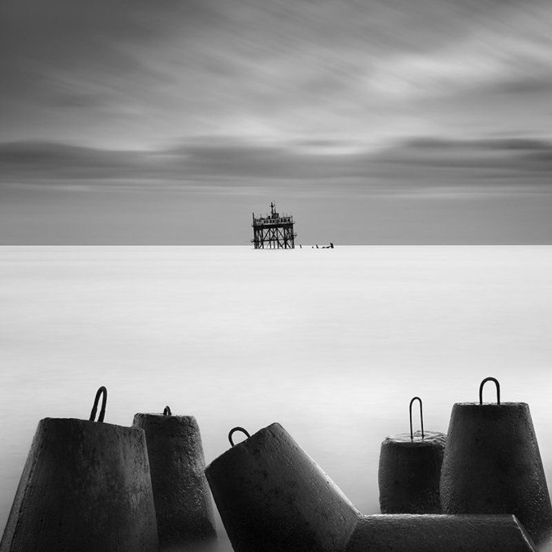 audience The Audience фото превью