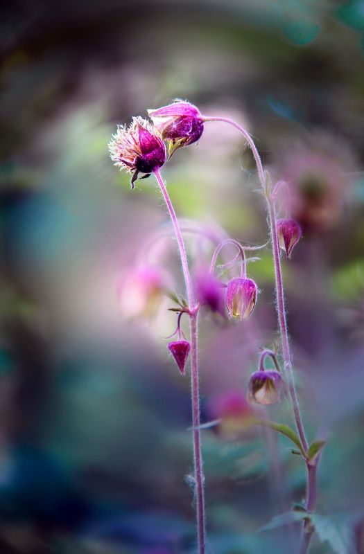 Я на ушко тебе прошепчу... фото превью