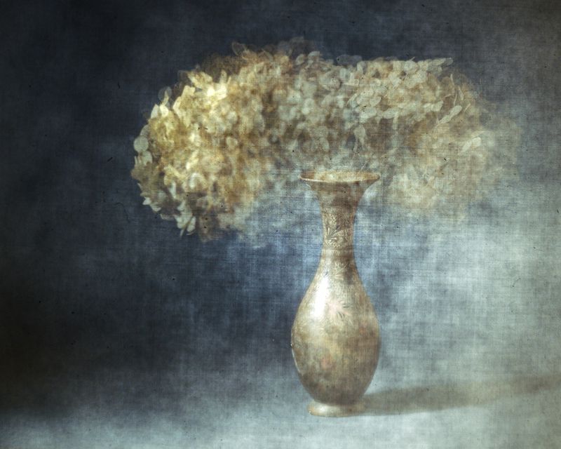 Нежной гортензии облако... фото превью