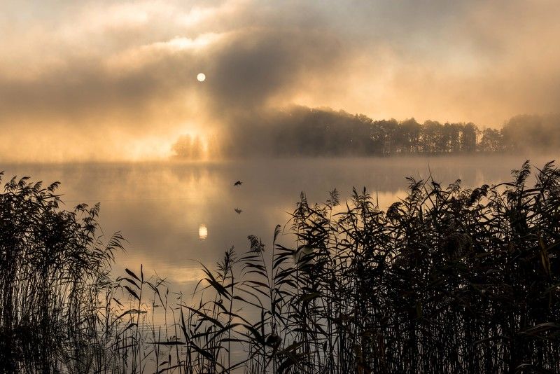 Morning by the lake фото превью