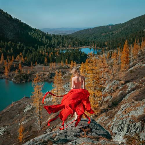 Autumn flower among the mountains