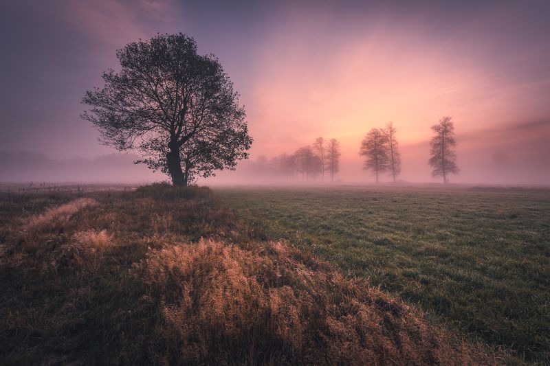 Peace and quiet фото превью