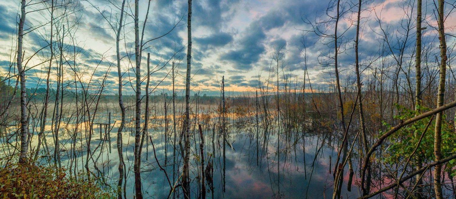 , Денис Сухачев