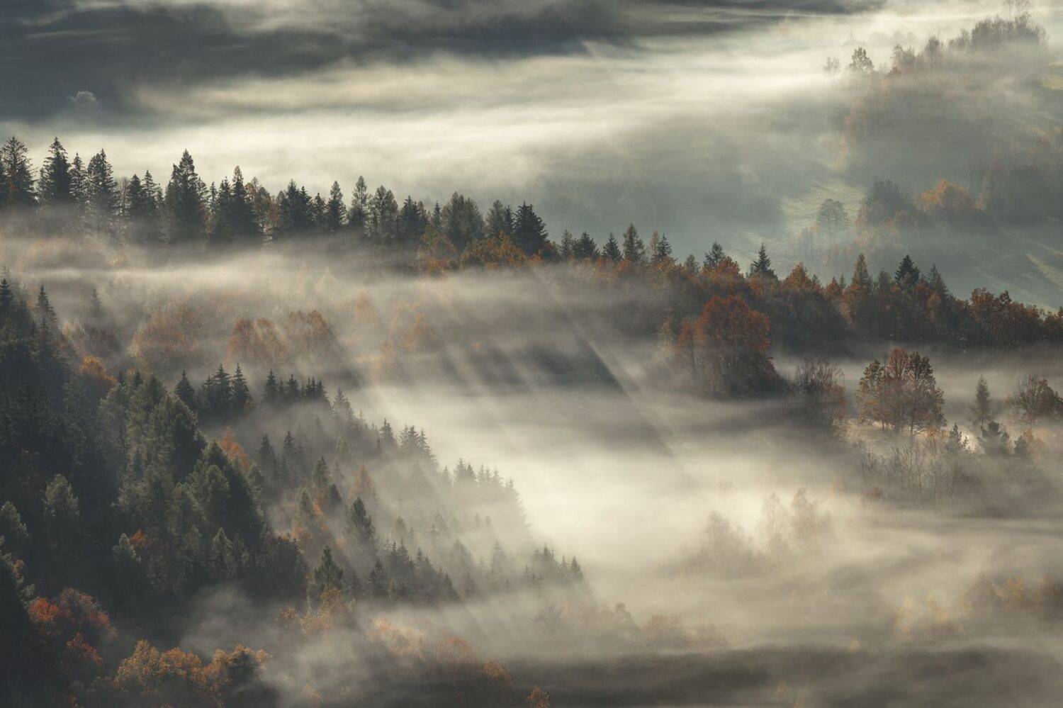 landscape,autumn,mountains,canon, Iza i Darek Mitręga