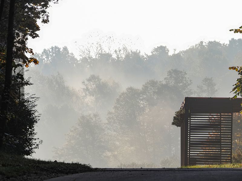 утренние туманы фото превью