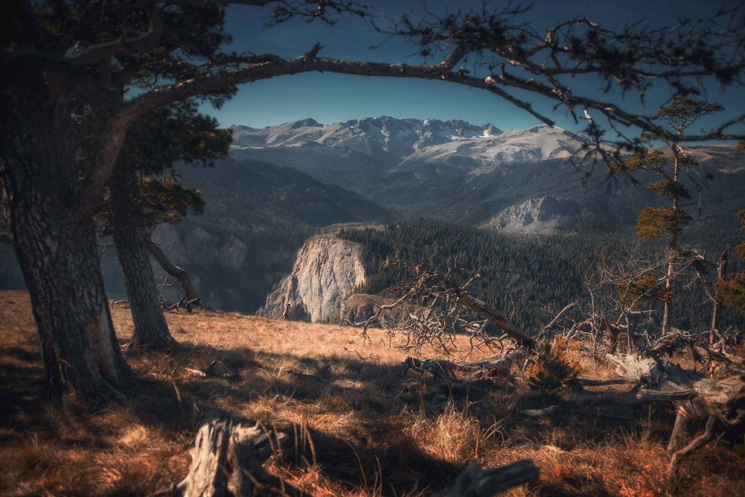 , Сергей Лукашенко