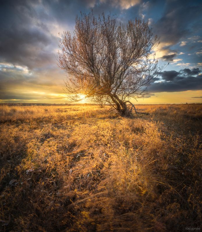 ... фото превью