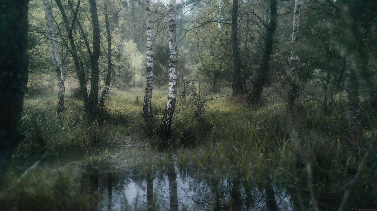 , Александр Чорный