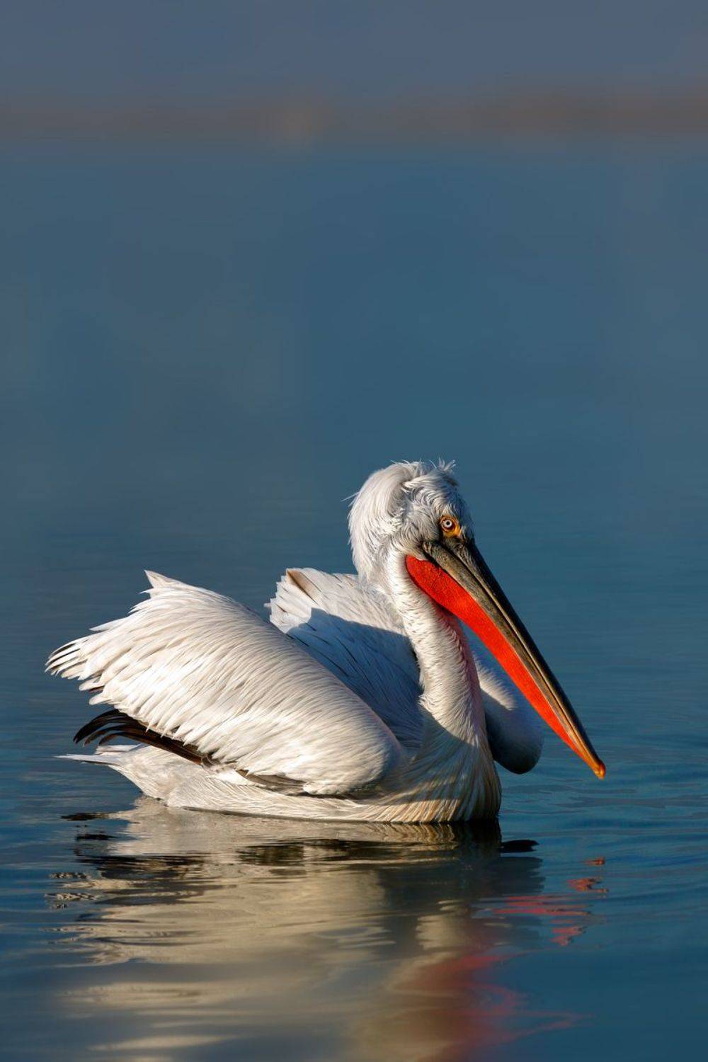 , Георги Славов