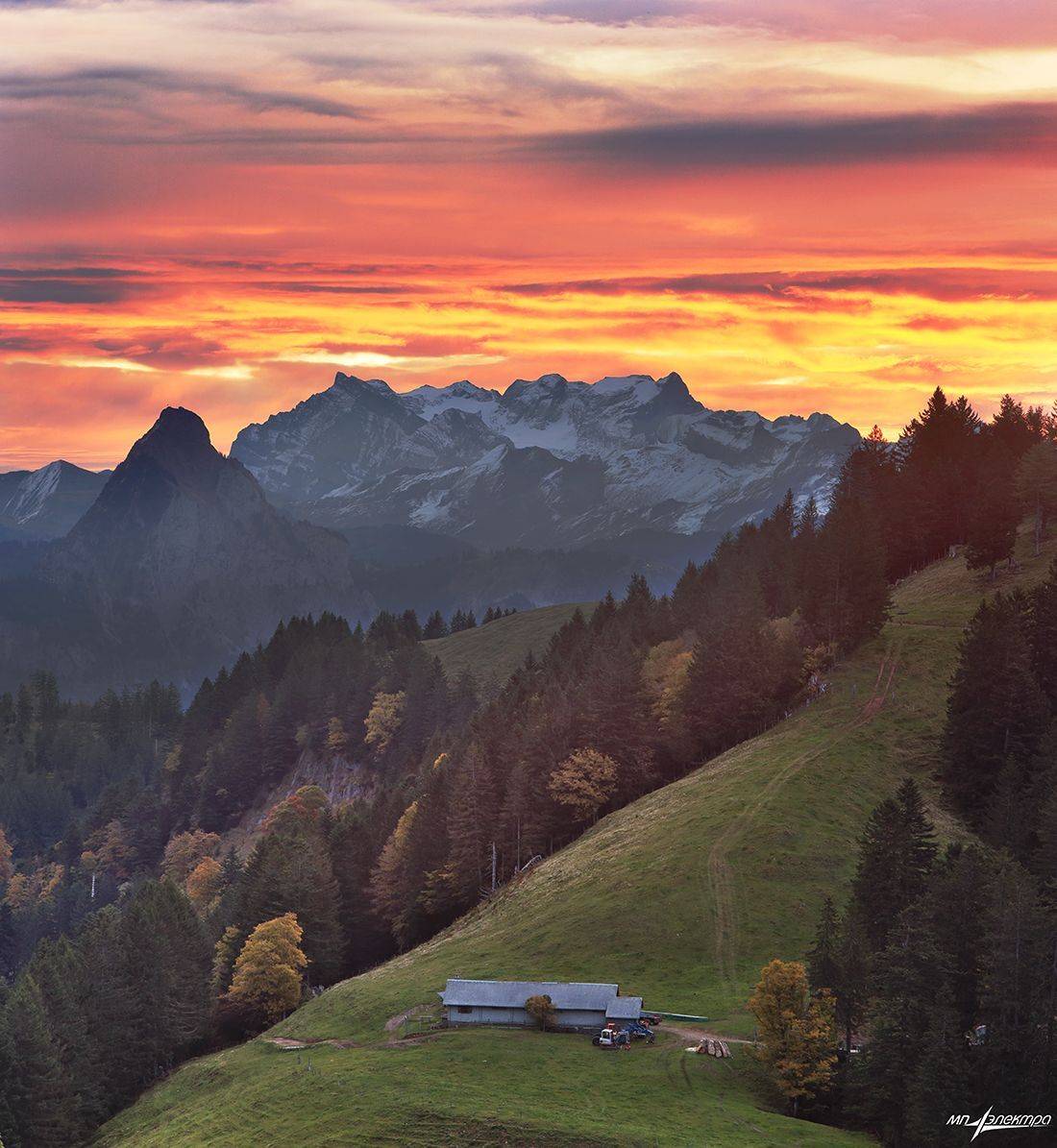 swiss, Матвеев Николай