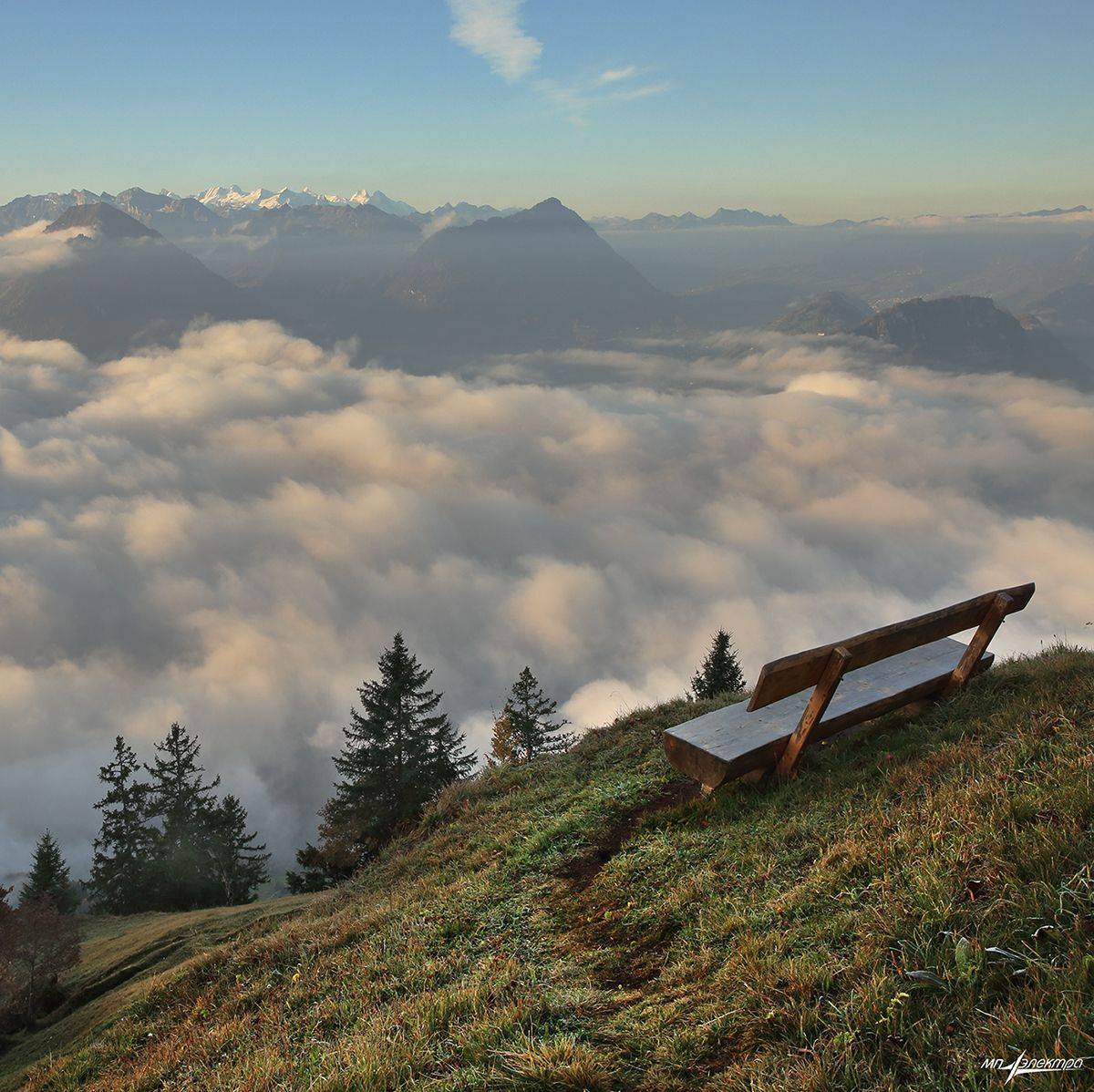 swiss, Матвеев Николай