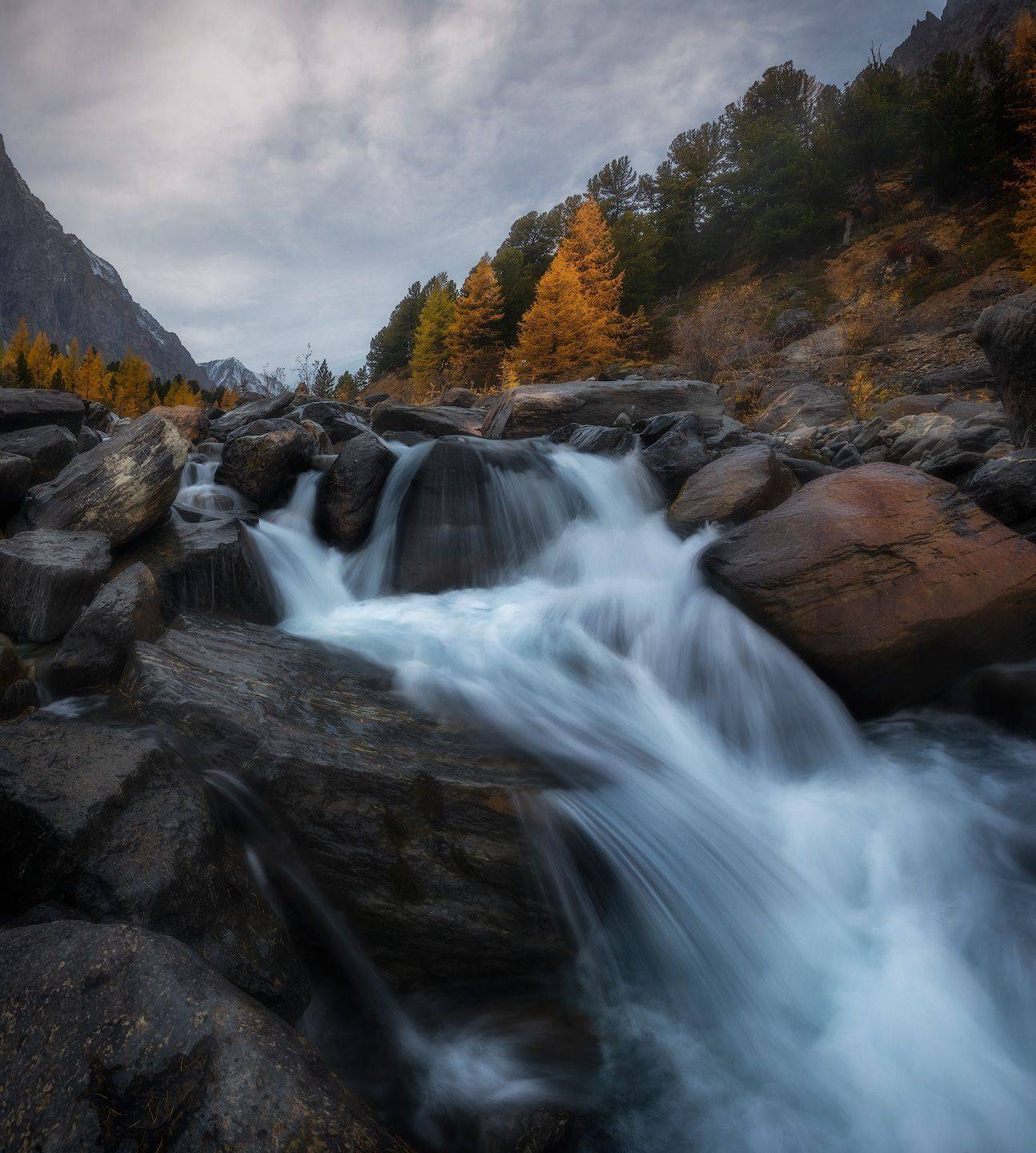 алтай, актру, Алексей Марголин