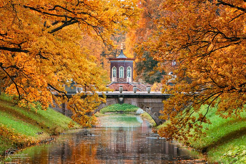 bakulind, санкт-петербург, парк, осень, пушкин, царское село Осень в Александровском парке Царского Села фото превью