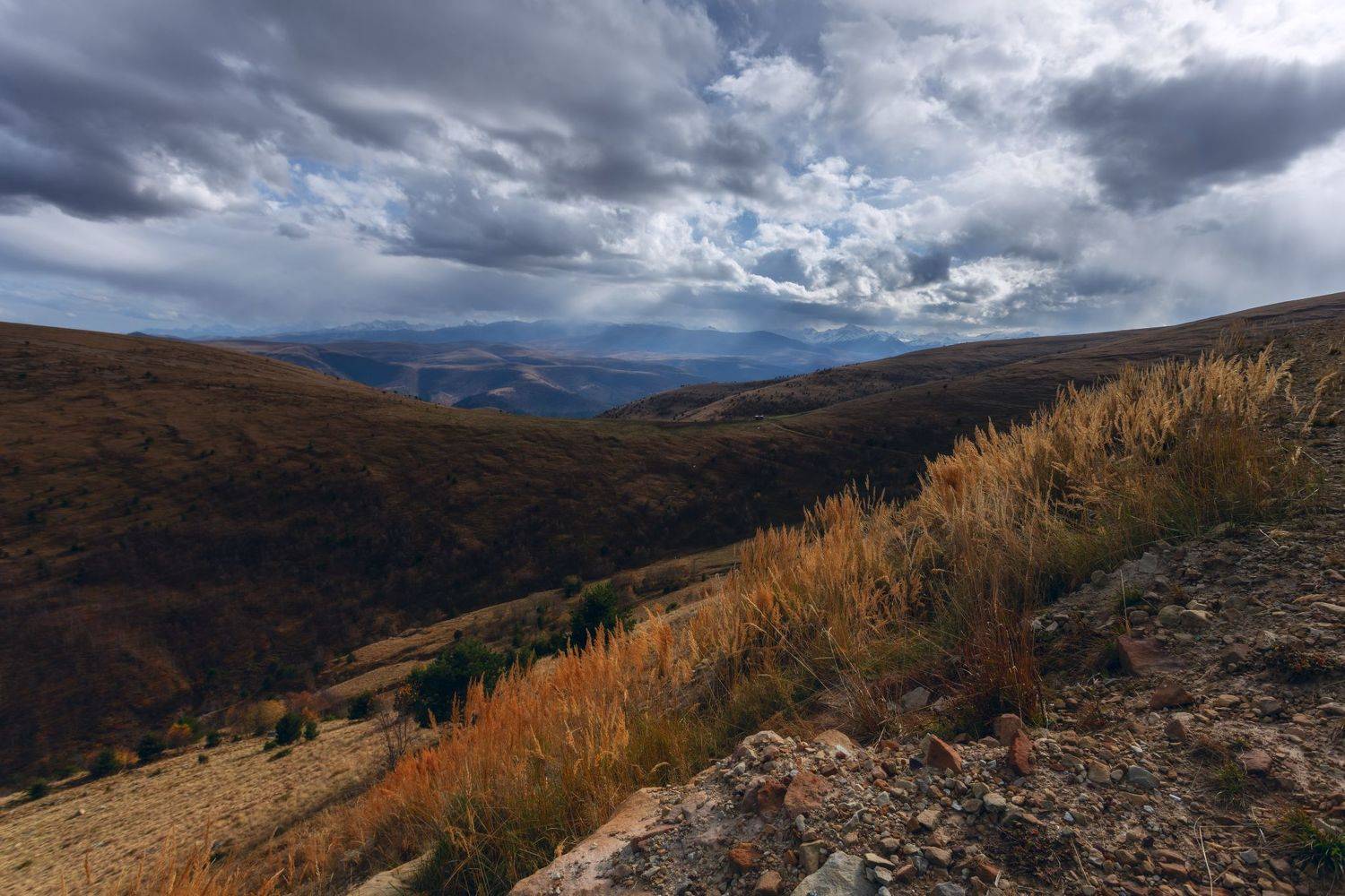 , Юлия Шумляева