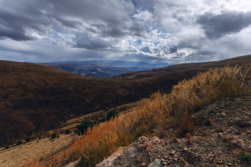 Пейзаж у обочины фото превью