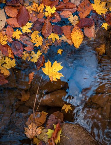 Южная осень